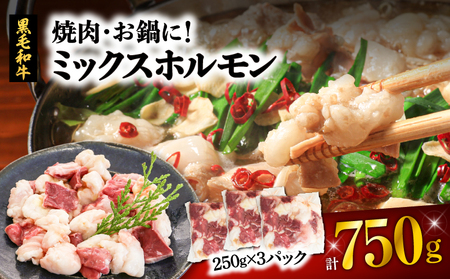 焼肉・お鍋に!ミックスホルモン750g(250g×3パック) K002-005_01 肉 牛 ホルモン お肉 牛肉 もつ鍋 焼肉 焼き肉 にく 鍋 おかず つまみ 国産 ミックス 炒め もつ 小腸 シマ腸 アカセン ハツ 直腸 小分け パック 夕食 夜ご飯 夜ごはん よるごはん カミチク ふるさと納税 鹿児島 鹿児島市 おすすめ ランキング プレゼント ギフト