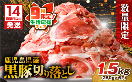 y Ԍ  zy 14cƓȓɔ z ʌ Y  ؂藎Ƃ 1.5kg K025-001_03_cp  ؓ  Ԃ   ؐ؂藎Ƃ pbN   Ef 