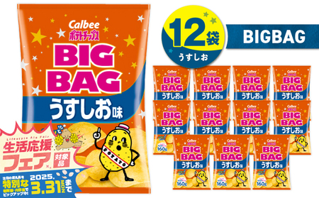 [ 期間限定 特別価格 ] カルビー ポテトチップス BIGBAG [ うすしお ] 12袋 K194-002_04 ポテチ チップス 菓子 お菓子 スナック スナック菓子 おやつ おかし じゃがいも 塩 塩味 薄塩 Calbee パリパリ 美味しい おいしい 酒の肴 おつまみ つまみ お子様 子供 大容量 ビッグバッグ ビッグ BIG セイカ食品 ふるさと納税 鹿児島 おすすめ ランキング プレゼント ギフト