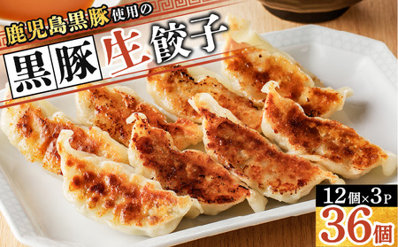 鹿児島 黒豚 使用 の 黒豚餃子 36個 K202-001_01 鹿児島使用 生餃子 餃子 ぎょうざ ギョウザ ギョーザ 生餃子 豚 肉 国産 野菜 焼き餃子 水餃子 中華 点心 冷凍 惣菜 おかず おいしい 末永商店 LR ふるさと納税 おすすめ ランキング プレゼント ギフト