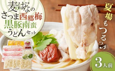 麦のはな の さつま西郷梅黒豚南蛮うどん セット K071-006 手打ちうどん 黒豚南蛮うどん 黒豚 南蛮うどん 鹿児島県産 鹿児島市 出汁 こだわり 謹製 粋麺麦のはな ふるさと納税 鹿児島 おすすめ ランキング プレゼント ギフト