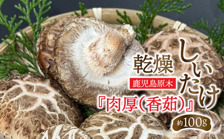 鹿児島 原木 乾燥 しいたけ 『 肉厚 ( 香茹 ) 』 約100g