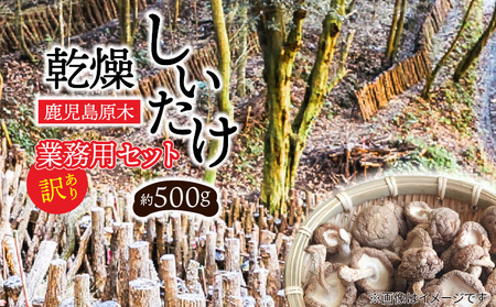 [ 訳あり ] 鹿児島 原木 乾燥 しいたけ お得 セット 約500g