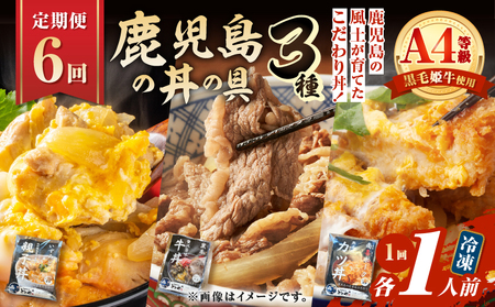 【 全6回 定期便 】鹿児島 の 丼 の 具 3種セット（1人前） K258-T05_01b 肉 豚肉 牛肉 惣菜 総菜 冷凍