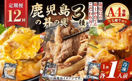 【 全12回 定期便 】鹿児島 の 丼 の 具 3種セット（1人前） K258-T05_01c 肉 豚肉 牛肉 惣菜 総菜 冷凍