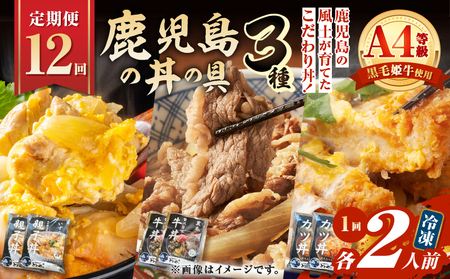 【 全12回 定期便 】鹿児島 の 丼 の 具 3種セット（2人前） K258-T05_02c 肉 豚肉 牛肉 惣菜 総菜 冷凍
