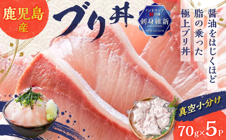 鹿児島産 ブリ丼 70g×5セット K100-013 魚 冷凍