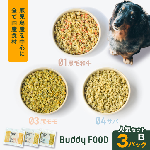 Buddy FOOD 人気セットB 3種3パック(黒毛和牛、豚モモ、サバ) K390-002_12 国産 魚 牛肉 豚肉 ペットフード