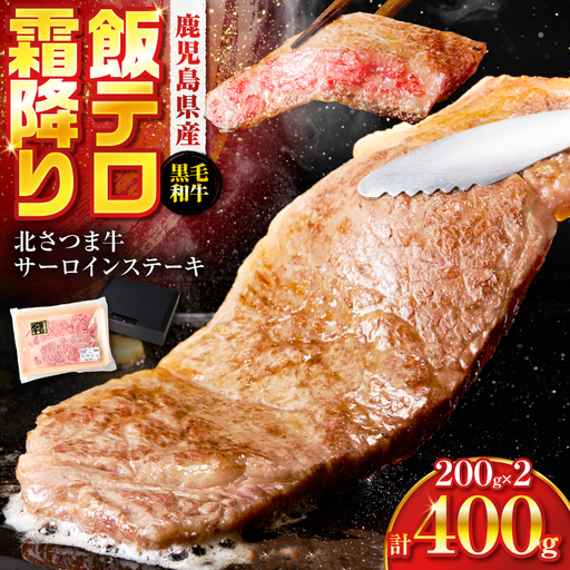 北さつま牛 サーロインステーキ K137-004 サーロイン ステーキ 牛肉 黒毛和牛