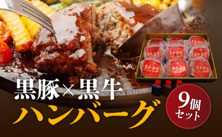 黒豚×黒牛ハンバーグ9個セット K098-005 薩摩 さつま 大人気牛肉 人気牛肉 鹿児島産 鹿児島県産 大人気黒毛和牛 人気黒毛和牛 鹿児島産 鹿児島県産 黒豚 かごしま黒豚 ハンバーグ 