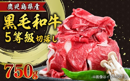 Yјa5ؗ750g K086-032 F   s  lCјa lCјa lC lC lC lC lCa lCa lCĂ