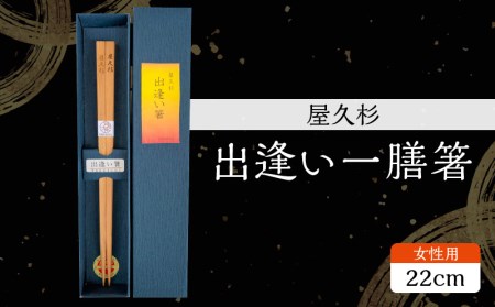 屋久杉 出逢い一膳箸 女性用(22cm) K042-007_1 薩摩 さつま 鹿児島県 鹿児島市 鹿児島 大人気屋久杉 人気 記念 贈り物 ギフト プレゼント 木 木目 杉 屋久島 箸 お箸 出逢い一膳 長寿 世界遺産 幸せの エコ マイ箸 My 持ち歩き