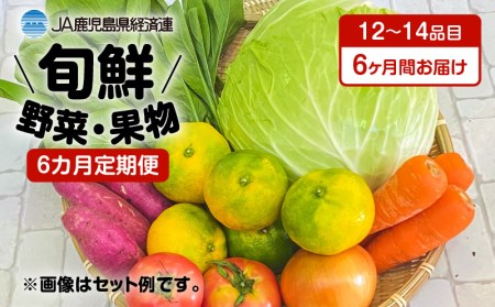 [JA直売所セレクト]6ヵ月定期便!旬鮮野菜・果物セット(12〜14品目) K072-T01 薩摩 さつま 鹿児島県 鹿児島市 鹿児島 大人気野菜 人気 セット 詰合せ 大人気果物 人気 詰合せ 旬 新鮮 鮮 JAグループ 南国 特産品 お やさい くだもの フルーツ ギフト 贈り物 詰め合わせ 農産物 果実 定期