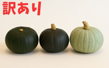 北海道 かぼちゃ 訳あり ダークホース・とっておき・特濃こふき 3種類×1個 訳あり 訳あり 訳あり[BEAC014]