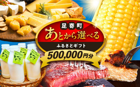 [あとから選べる]足寄町ふるさとギフト 50万円分 足寄町 [BEBL006]