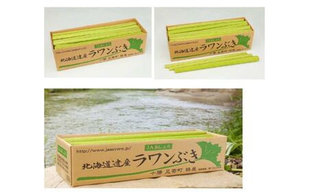 [先行予約]北海道足寄町産 生ラワンぶき 3kg[6月上旬以降発送][足寄町][足寄町農業協同組合]ふき フキ ラワンブキ[BEAB011]