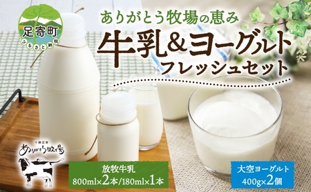 北海道 放牧牛乳&ヨーグルト 牛乳 ヨーグルト 生乳 ミルク 濃厚 さっぱり まろやか 酪農 放牧 国産 無農薬 化学肥料不使用 道産飲料100% 健康 冷蔵 ありがとう牧場 送料無料