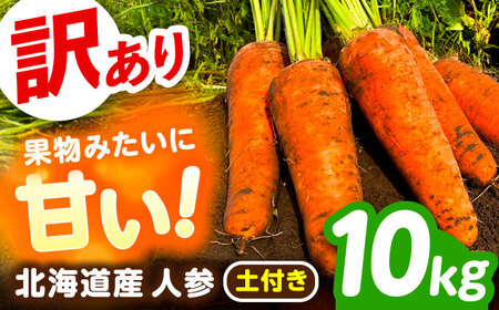 y󂠂z kC ɂ񂶂 10kg iytjs񒬁tyƂt@[z[BEBA006]