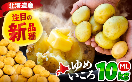 北海道産じゃがいも ゆめいころ 10kg 《足寄町》じゃがいも [BEBO001]