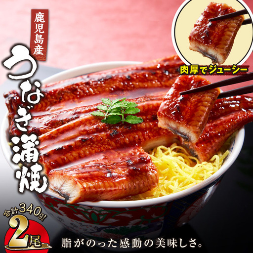 [ 土用の丑の日特集 ] 1121-4 鹿児島産うなぎ 合計340g(170g×2尾) 清らかな 地下水 育ち! KN021-014-02 鰻 魚 惣菜 総菜