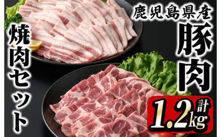 鹿屋産 さかし豚 焼肉セット 計1.2kg[豚肩ロース肉600g、豚バラ肉600g] 1875