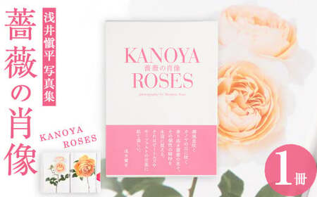 浅井愼平写真集 薔薇の肖像 KANOYA ROSES 1031