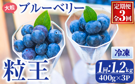 [3回定期便2か月に1回]粒王 冷凍ブルーベリー1.2kg[400g×3P] 2467