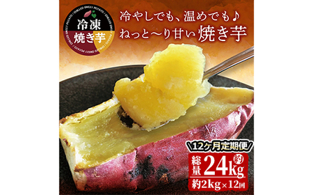 [12回定期便]紅はるか冷凍焼き芋 約2kg(約12〜20本)×12回 2511