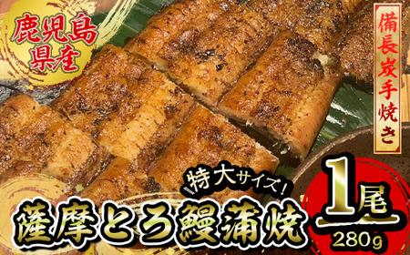 [江口商店監修]薩摩とろ鰻白焼特大サイズ一尾 280g 2519