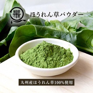 鹿屋満足 ほうれん草パウダー40g 2598