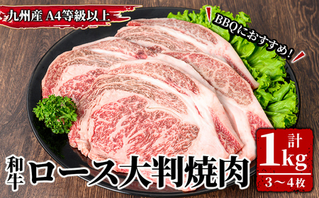 4等級以上 九州産和牛ロース大判焼肉1kg(3枚〜4枚) 2575