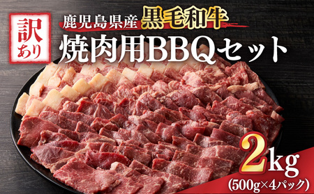 2619 󂠂荕јa YēpBBQZbg v2,000gi500g×4pbNj KN041-003-03     Yјa јa Y [X o  J^ Ⓚ ē o[xL[ 
