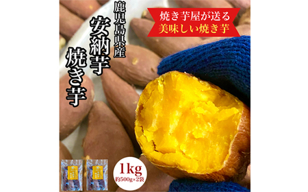 鹿児島県産 さつまいも 安納芋 焼き芋 1kg(500g×2袋) 蜜芋 さつまいも [クール便配送] 2677