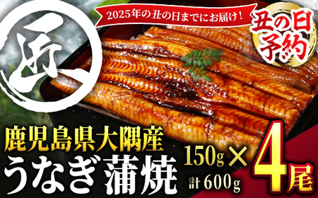 [土用の丑の日予約]鹿児島県大隅産うなぎ蒲焼600g[4尾] 725-3B