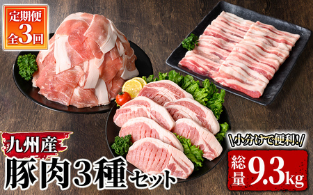 [定期便]小分け・真空パック!九州産豚肉 3回定期便(3.1kg 3種セット を 計3回 9.3kg お届け)[国産 豚肉 焼肉 真空包装 真空パック バラ スライス しゃぶしゃぶ ロース 生姜焼き とんかつ 定期便] 2897