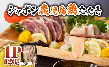 2901 B  Y   { V|  {  120gi 120g × 1pbN j KN048-001-01 {h hg    Ƃ肳 gTV V|{ Ⓚ {  󏭕 Y 