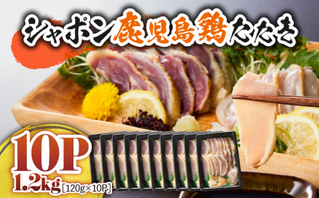 2909 B  Y   { V|  {  1.2kgi 120g × 10pbN j KN048-001-10 {h hg    Ƃ肳 gTV V|{ Ⓚ {  󏭕 Y 