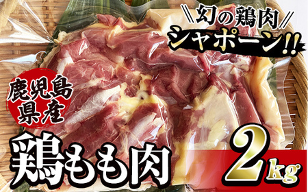 唯一の国産 幻の鶏肉 シャポーン鹿児島鶏もも肉2kg[鶏もも 鶏肉 鶏 鳥肉 モモ もも肉 唐揚げ チキン南蛮 シャポーン鶏] 2920