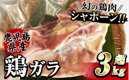 唯一の国産 幻の鶏肉 シャポーン鹿児島鶏 鶏ガラ3kg以上[鶏ガラ 鶏肉 鶏 鳥肉 鶏がら 鶏ガラスープ スープ シャポーン鶏] 2922