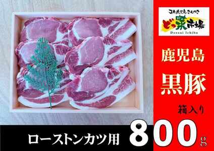 鹿児島産黒豚ロースとんかつ木箱 800g [鹿児島 黒豚 豚肉 肉 国産 冷凍 ロース とんかつ ギフト 贈答] 2883