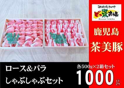 鹿児島産茶美豚ロース・バラしゃぶしゃぶセット木箱 1000g [鹿児島 黒豚 豚肉 肉 国産 冷凍 ロース バラ しゃぶしゃぶ セット 詰め合わせ ギフト 贈答] 2885