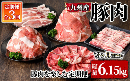 [定期便]豚肉を楽しむ定期便(計3回 6.15kgお届け)(2025年4月〜出荷開始)[国産 冷凍 小分け 豚肉 焼肉 BBQ 炒め物 しゃぶしゃぶ 生姜焼き 定期便 真空パック 真空包装] 2851