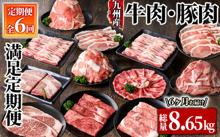 [定期便]牛肉・豚肉満足定期便(計6回 8.65kgお届け)(2025年4月より出荷開始)[九州産 国産 冷凍 小分け 牛肉 豚肉 ステーキ 食べ比べ 定期便 真空パック 真空包装] 2853