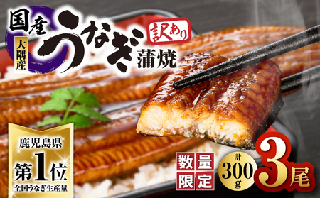 [ 訳あり ][ 数量限定 ] 鹿児島県 大隅産 うなぎ蒲焼き 3尾 セット(計300g) KN007-003-01 うなぎ ウナギ 鰻 蒲焼 鰻重 うな重 ひつまぶし 鰻丼 土用の丑 丑の日 真空 パック 温めるだけ 惣菜 魚 魚貝類 魚介類 海産物 冷凍 数量 期間 限定 わけあり ワケアリ 大隅地区養まん漁業協同組合 ふるさと納税 鹿児島 鹿屋市 おすすめ ランキング プレゼント ギフト