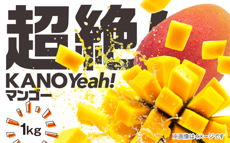 2831 超絶 ！ KANOYeah ！マンゴー 1kg（ 2～3玉 ） KN112-001 完熟マンゴー 完熟 トロピカルフルーツ フルーツ トロピカル 甘い 期間限定 限定 デザート 美味しい 濃厚 ジューシー きもつきファーム ふるさと納税 鹿児島 鹿屋市 おすすめ ランキング プレゼント ギフト