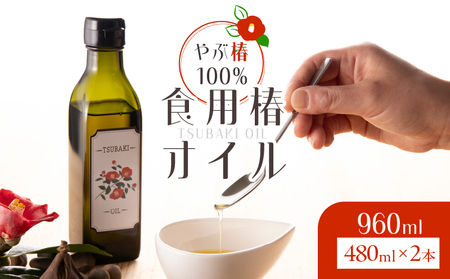 やぶ椿 100% 食用 椿オイル 480ml 2本 セット KN080-001-01 椿油 椿油100% 食用油 ハヤシ ふるさと納税 鹿児島 鹿屋市 おすすめ ランキング プレゼント ギフト