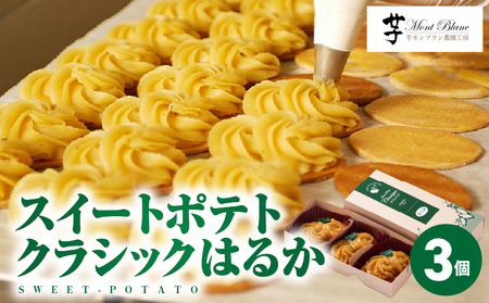 スイートポテト クラシックはるか 3個入り KN035-007-01 菓子 お菓子 スイーツ デザート 焼菓子 芋菓子 クラシック さつまいもスイーツ いも 芋 お おいも 人気 セット 詰め合わせ 詰合せ 美味しい おいしい おやつ 大隅半島農林文化村 鹿児島 鹿屋市 おすすめ ランキング プレゼント ギフト
