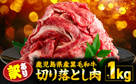 [ 訳あり ]鹿児島県産 黒毛和牛 切り落とし肉 1kg( 500g×2P ) KN050-042 わけあり 規格外 肉 牛肉 切落し 赤身 霜降り 希少部位 脂 牛丼 肉じゃが カレー ハヤシライス 料理 福袋 ランダム ボリューム 大容量 冷凍 国産 鹿児島産 nixy 中山亭 鹿屋店 ふるさと納税 鹿児島 鹿屋市 おすすめ ランキング プレゼント ギフト