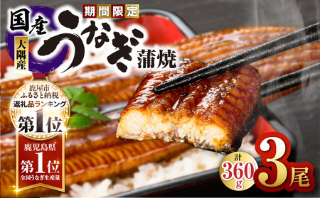 [ 期間限定 ]鹿児島県大隅産 うなぎ蒲焼 3尾セット( 計360g ) KN007-021 うなぎ ウナギ 鰻 鰻蒲焼き ウナギ蒲焼 惣菜 総菜 魚類 魚貝類 魚介類 海産物 鰻重 うな重 ひつまぶし 鰻丼 魚 冷凍 大隅地区養まん漁業協同組合 ふるさと納税 鹿児島 鹿屋市 おすすめ ランキング プレゼント ギフト
