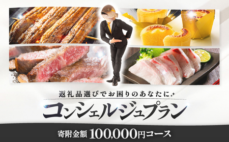コンシェルジュプラン 寄付額10万円コース KN000-CP010 コンシェルジュ プラン 選べる コース うなぎ 肉 牛 豚 鶏 魚 かんぱち 酒 焼酎 菓子 スイーツ 惣菜 総菜 野菜 日用品 おまかせ 厳選 鹿児島 鹿屋市 おすすめ ランキング プレゼント ギフト ランキング